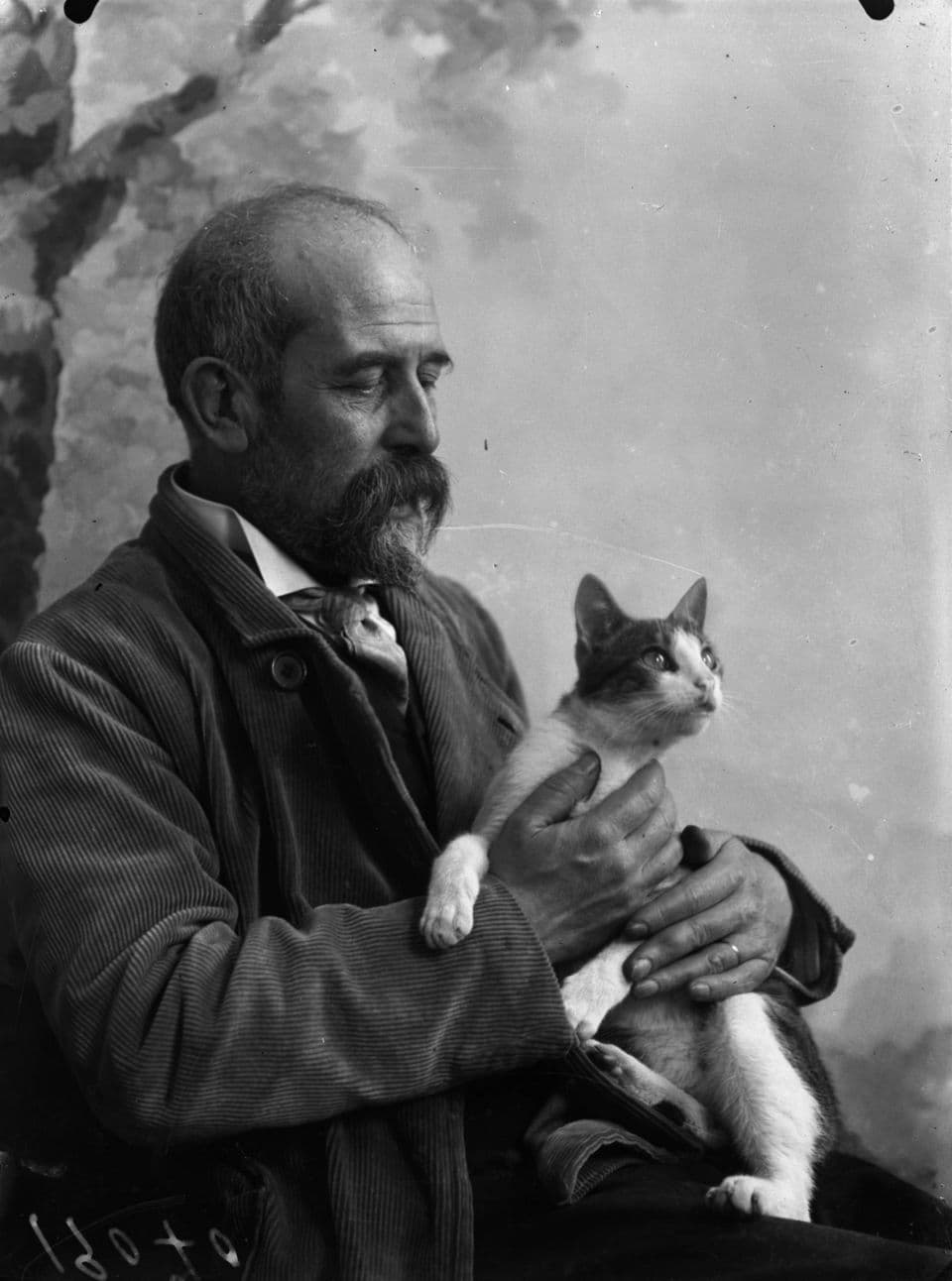 Fotografia a preto e branco de Henrique Lopes de Mendonça sentado, com um gato ao colo